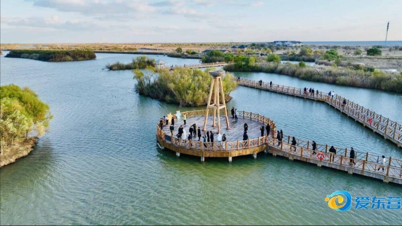 表现充满期 表现充满期