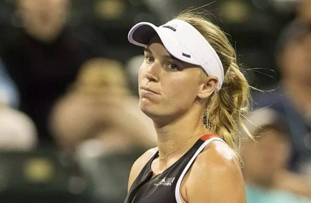 劲敌罗杰 劲敌罗杰